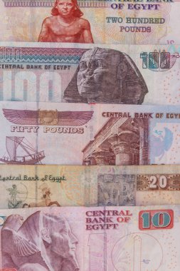 Farklı Mısır banknotlarının arkaplanı. Mısır para birimi
