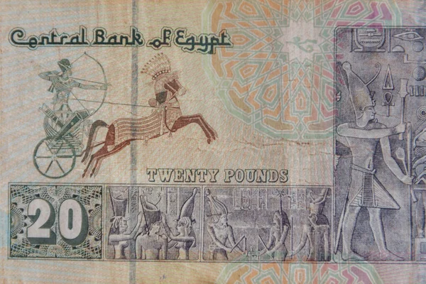 Macro Schot Van Twintig Egyptische Ponden Wetsvoorstel — Stockfoto