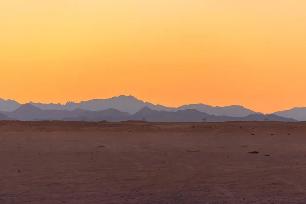 이집트의 아라비아사막의 — 스톡 사진