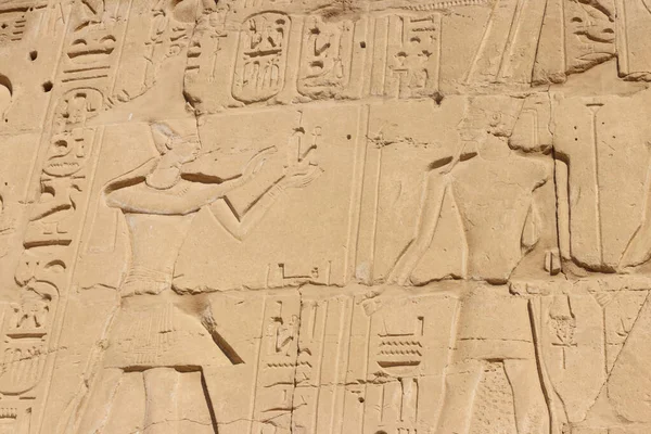 Ancient Egyptian Paintings Hieroglyphs Wall Karnak Temple Complex Luxor Egypt — Stock Photo, Image
