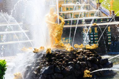 Samson Çeşmesi Saint Petersburg, Rusya 'daki Peterhof aşağı parkında.