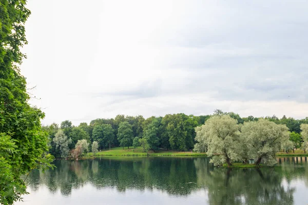 Vista Lago Durante Una Lluvia Parque Gatchina Rusia — Foto de Stock