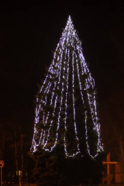 Şehir merkezinde süslenmiş ve aydınlatılmış Noel ağacı