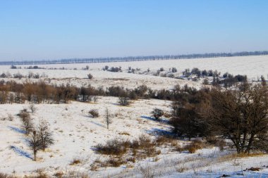 Ağaçlı ve tepeli kış manzarası