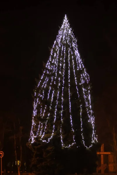 Şehir Merkezinde Süslenmiş Aydınlatılmış Noel Ağacı — Stok fotoğraf