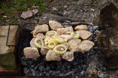 Baharatlı çiğ domuz eti. Şiş kebap hazırlığı. Kömürde marine edilmiş et.