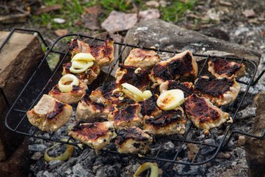 Izgarada domuz eti kızartılıyor. Kömürde et, barbekü yakın.