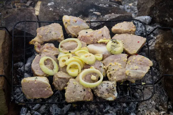 Carne Porco Crua Picada Grelha Livre Preparação Kebab Shish Carne — Fotografia de Stock