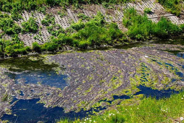 Water drain in the canal. Green algae in water surface.  Environmental pollution