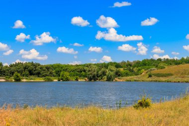 Güzel gölü olan yaz manzarası, yeşil çayırlar, tepeler, ağaçlar ve mavi gökyüzü.