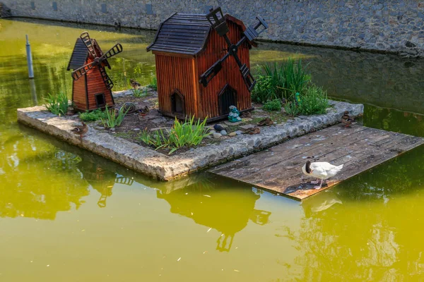 都市公園の湖に水鳥やカメのための木造住宅 — ストック写真