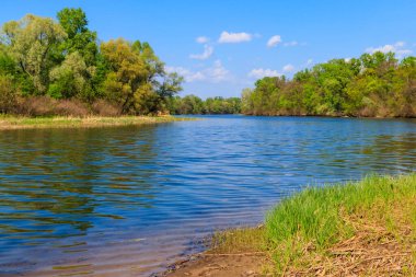 Güzel bir nehir, yeşil ağaçlar ve mavi gökyüzü olan yaz manzarası
