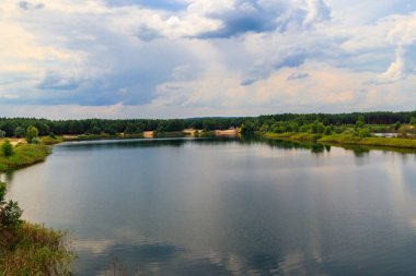 Yazın bir çam ormanında güzel bir göl manzarası