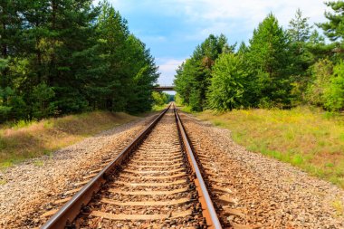 Yeşil bir çam ormanının içinden geçen tren yolu.