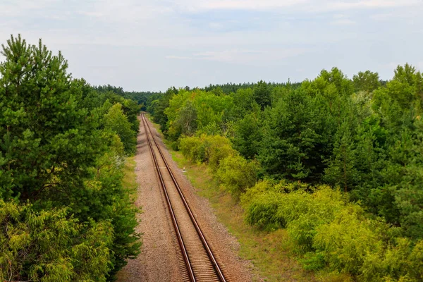 Luftaufnahme Der Eisenbahnstrecke Durch Einen Grünen Kiefernwald — Stockfoto