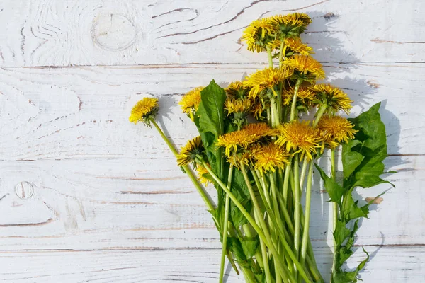 Diente de león flores en madera fotos de stock, imágenes de Diente de león flores en madera sin royalties | Depositphotos Diente de león flores en madera fotos de stock, imágenes de Diente de león flores en madera sin royalties | Depositphotos