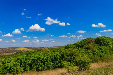 Yeşil ağaçlar, çayırlar, tarlalar ve mavi gökyüzü ile ilkbahar manzarası