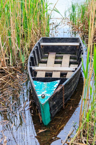 Vieux Bateau Bois Dans Roseau Sur Rive — Photo