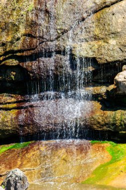 Uman, Ukrayna 'daki Sofiyivka parkında güzel bir şelale.