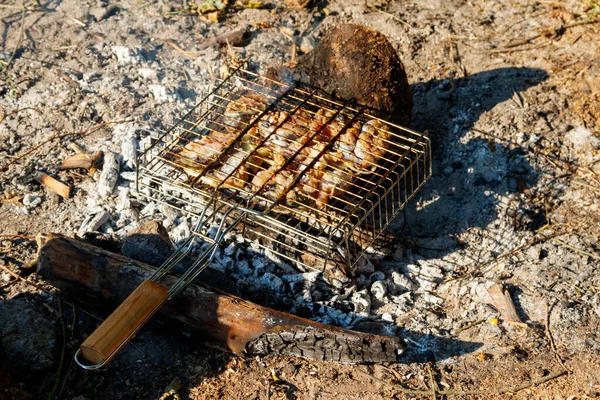 Grillezés Harcsa Szeletek Hordozható Barbecue Grill Tábortűzön — Stock Fotó
