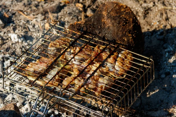 Grillezés Harcsa Szeletek Hordozható Barbecue Grill Tábortűzön — Stock Fotó