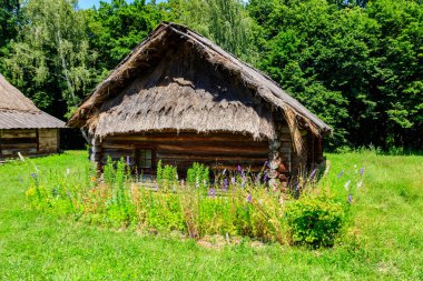 Ukrayna köyündeki eski ahır.