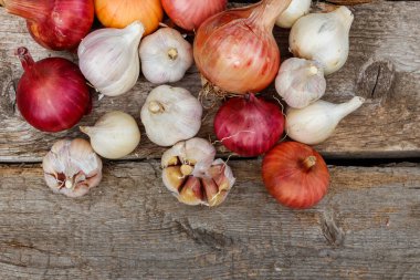 Köy ahşap bir masada taze sarımsak ve soğan. Üst görünüm
