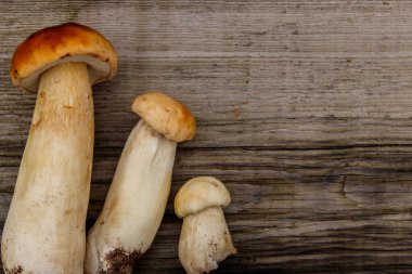 Köy ahşap masada taze toplanmış porcini mantarları. Üst görünüm