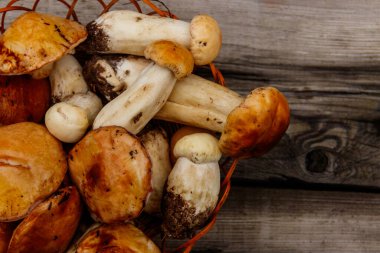 Kırsal ahşap masada sepetten taze toplanmış orman mantarları. Üst görünüm