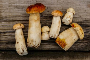 Köy ahşap masada taze toplanmış porcini mantarları. Üst görünüm