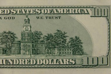 100 dolarlık makro çekim.