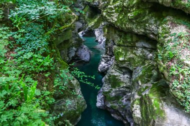 Georgia 'daki Martvili Kanyonu. Dağ nehri manzaralı güzel doğal kanyon Abasha
