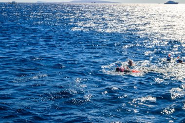 Kızıl Deniz 'deki mercan kayalıklarında şnorkelle yüzen bir grup insan.