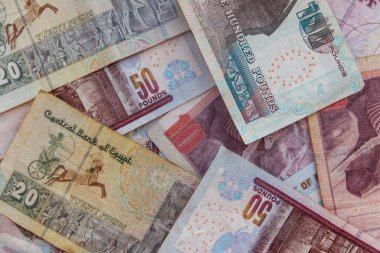 Farklı Mısır banknotlarının arkaplanı. Mısır para birimi