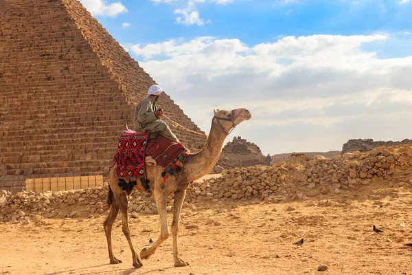 Beduiński Wielbłąd Pobliżu Wielkich Piramid Gizie Kair Egipt — Zdjęcie stockowe