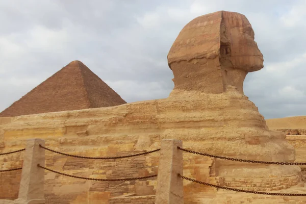 Detailní Záběr Velké Sfingy Gízy Káhiře Egypt — Stock fotografie