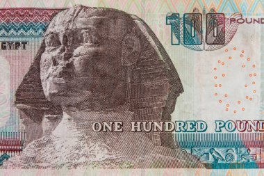 100 Mısırlı banknotun makro çekimi