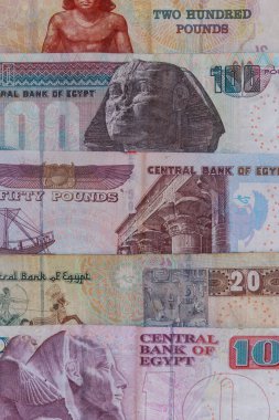Farklı Mısır banknotlarının arkaplanı. Mısır para birimi