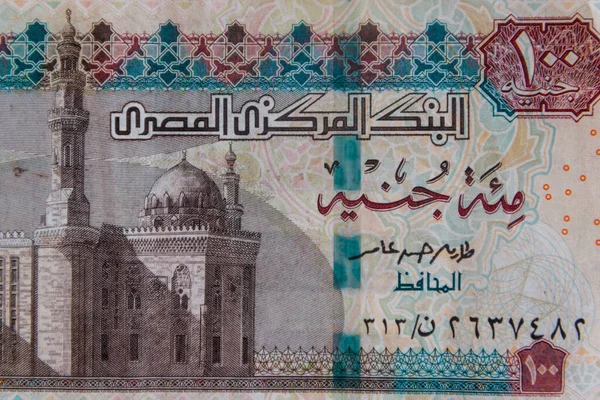 Makro Skott Hundra Egyptiska Pounds Bill — Stockfoto