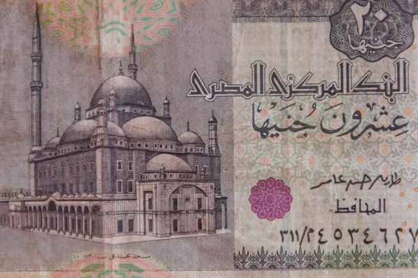 Makro Skott Tjugo Egyptiska Pounds Bill — Stockfoto