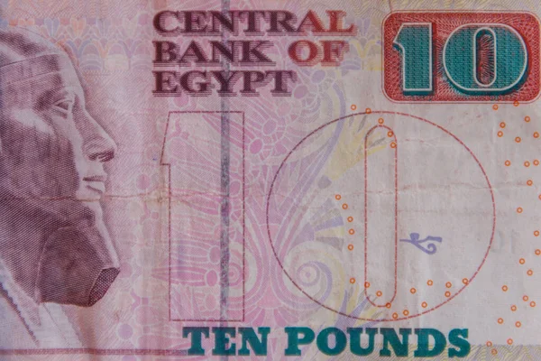 Tíz Egyiptomi Fontos Makrofelvétel — Stock Fotó