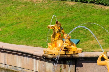 St. Petersburg, Rusya 'nın Aşağı Peterhof Parkı' ndaki altın çeşme.