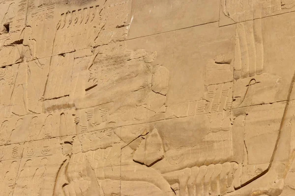 Starověké Egyptské Malby Hieroglyfy Zdi Chrámovém Komplexu Karnak Luxoru Egypt — Stock fotografie