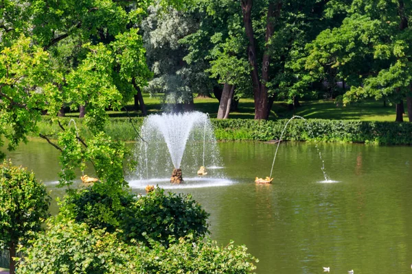 Písečný Rybník Fontánou Velryba Figurkami Fontány Delfín Dolním Parku Peterhof — Stock fotografie