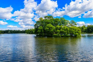 Puşkin, Rusya 'daki Tsarskoye Selo' daki Catherine parkında büyük gölet.