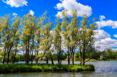 Puşkin, Rusya 'daki Tsarskoye Selo' daki Catherine parkında büyük gölet.