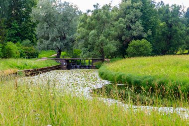 Rusya 'nın Pavlovsk parkındaki Slavyanka nehri üzerindeki siyah köprü barajı.