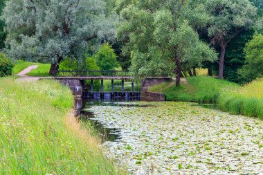 Rusya 'nın Pavlovsk parkındaki Slavyanka nehri üzerindeki siyah köprü barajı.