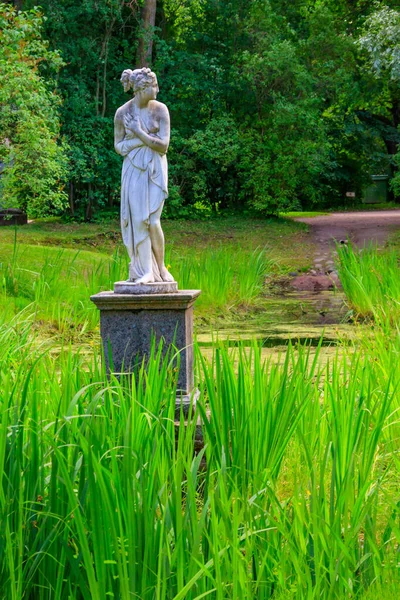 Estatua Mármol Venus Italiano Pavlovsk Park Rusia — Foto de Stock