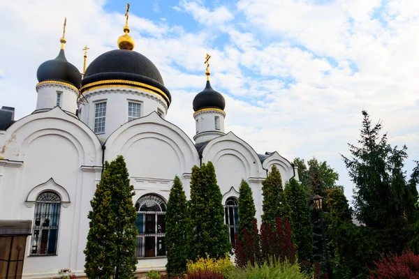 Szentháromság Katedrális Szent Tikhon Transfiguration Kolostor Zadonsk Oroszország — Stock Fotó